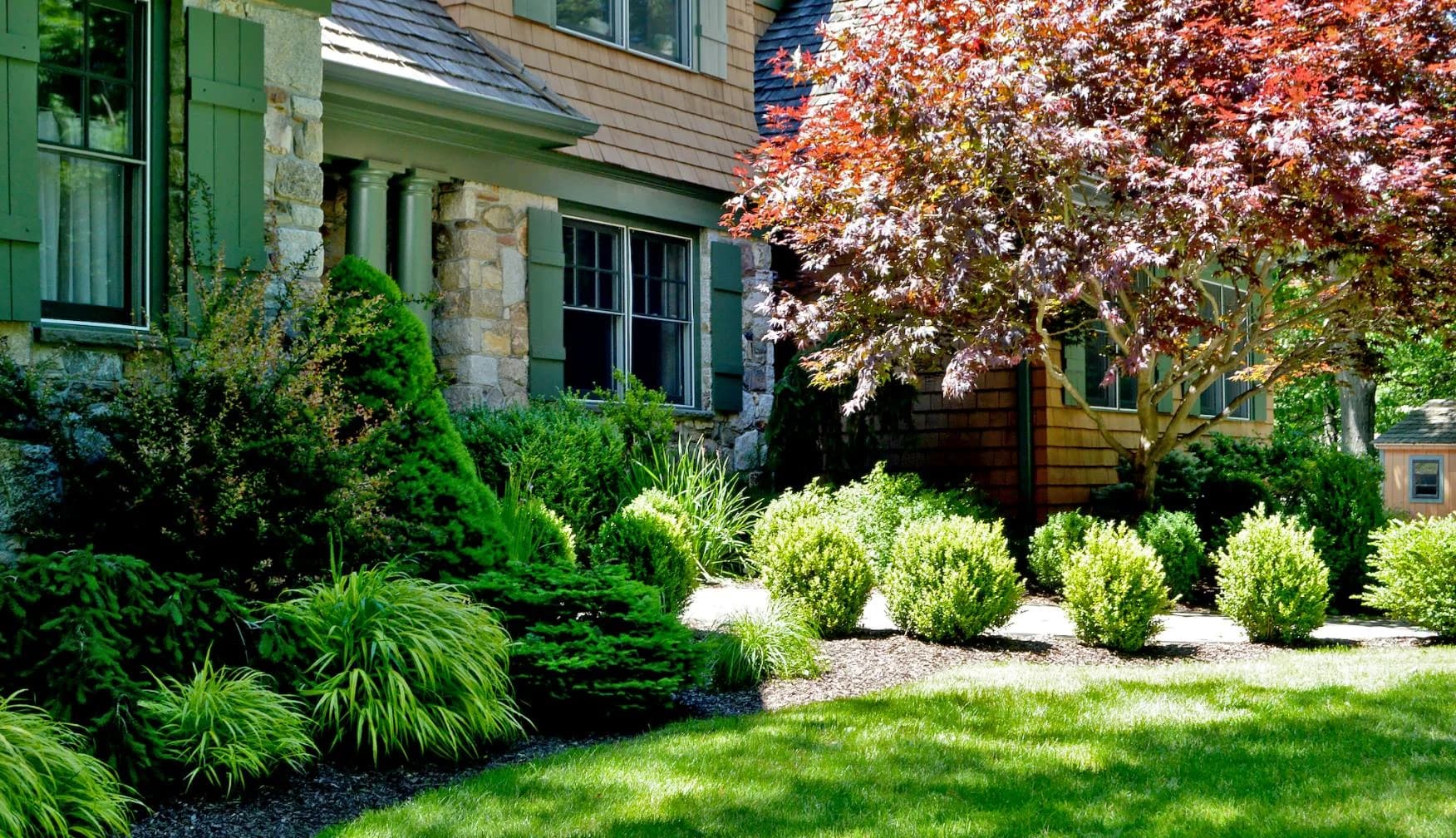 Tree & Shrub Planting Services in Eastpointe, MI