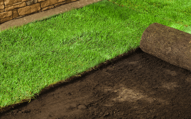 Sod Installation Services in Eastpointe, MI